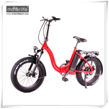 Bicicleta eléctrica de alto poder 48V1000W 20inch bicicleta eléctrica gorda, ebike